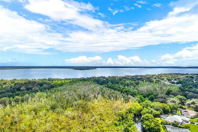 bird's eye view with a wooded view and a water view