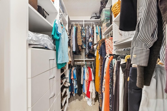 view of spacious closet