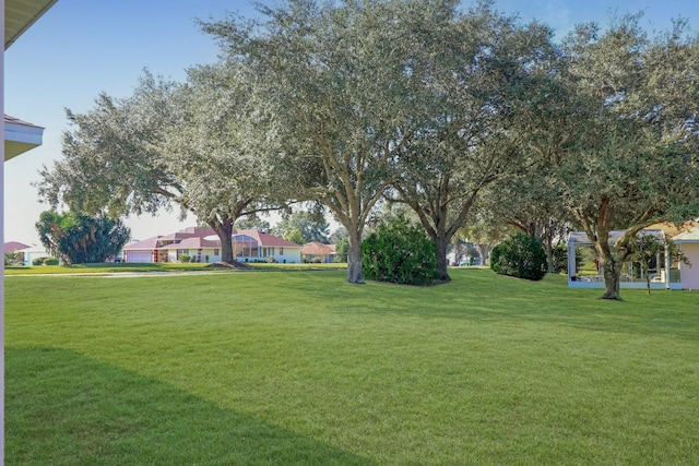 view of community featuring a yard