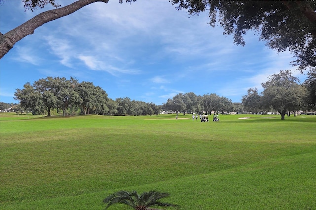 view of home's community with a lawn