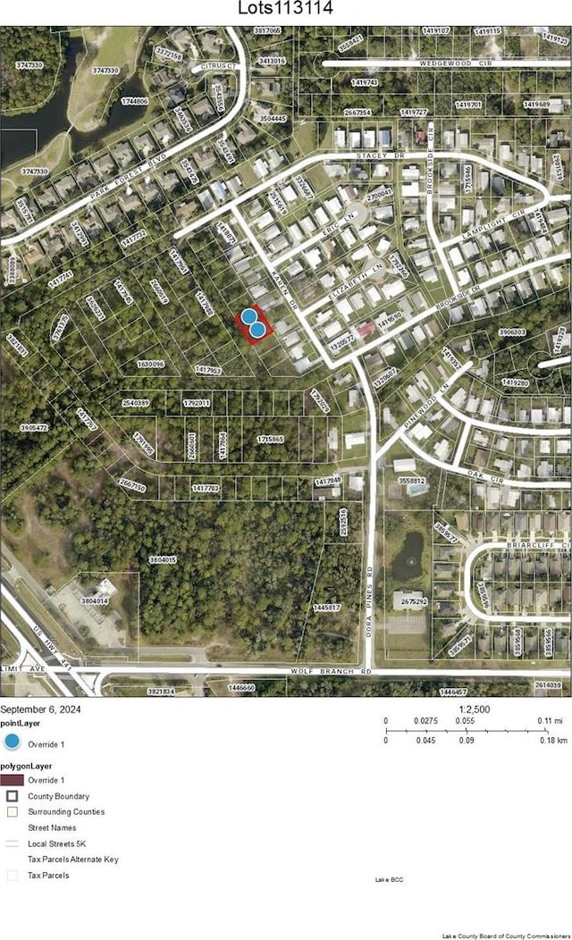 LOTS113 Karen Dr, Mount Dora FL, 32757 land for sale