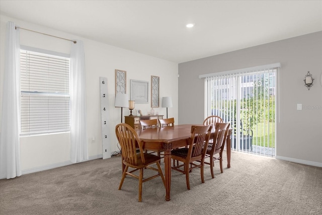 dining area featuring carpet flooring