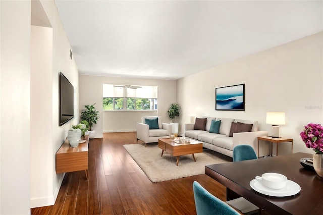 living room featuring dark wood-type flooring