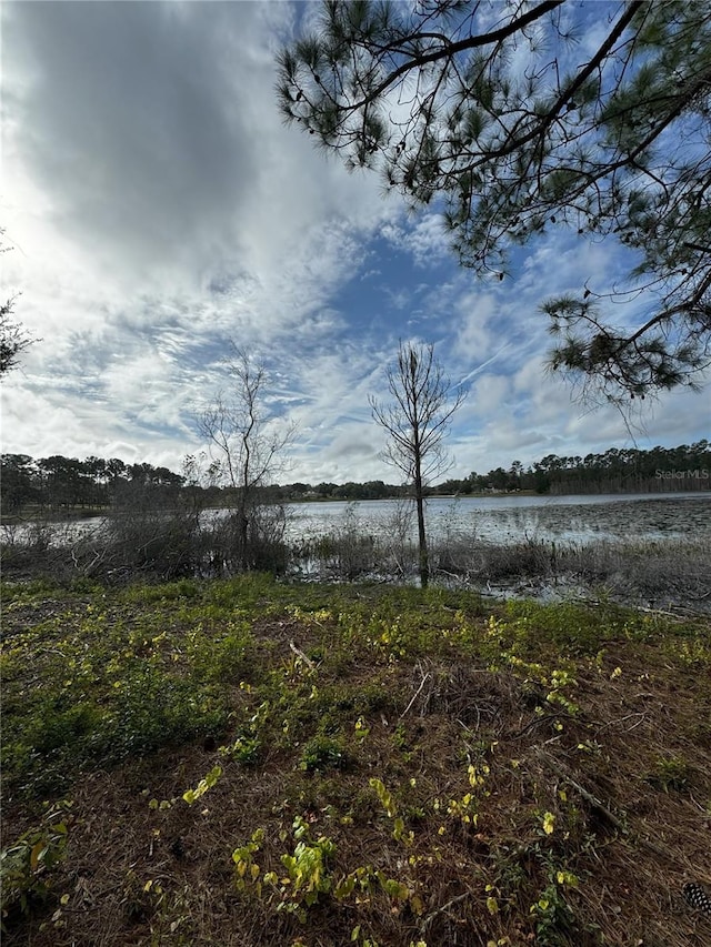 Listing photo 2 for LOT1 Keene Rd, Altoona FL 32702