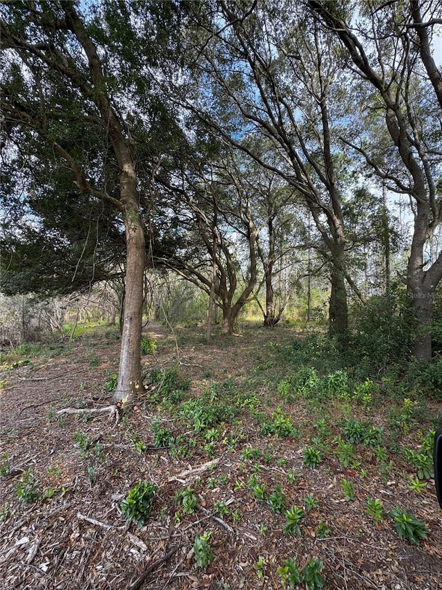 Listing photo 3 for LOT1 Keene Rd, Altoona FL 32702