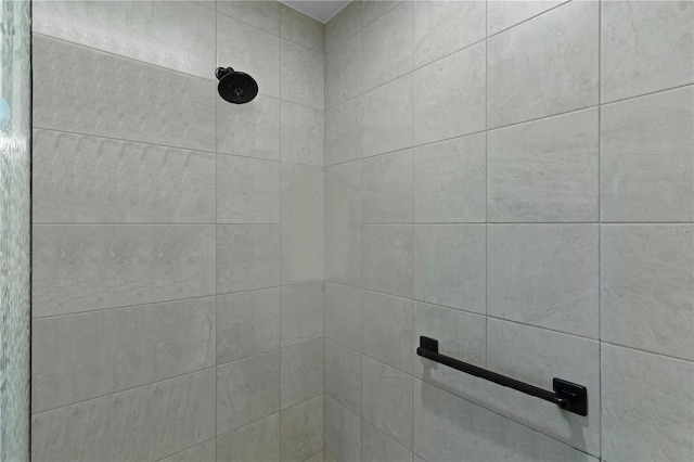 interior details with tiled shower