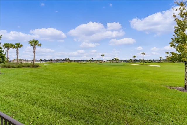 view of community with a yard