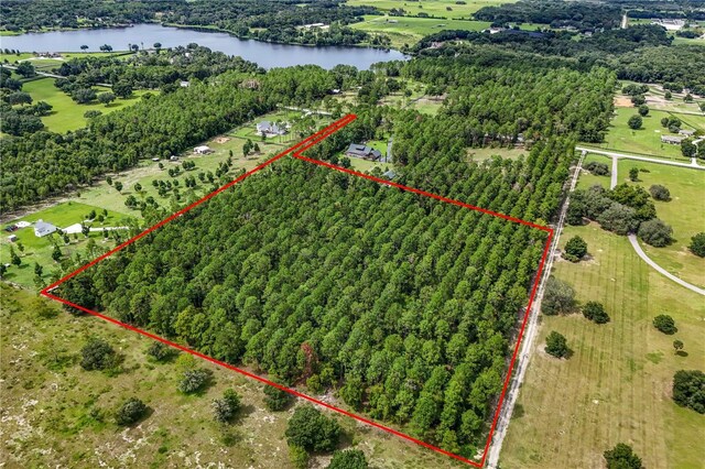 Listing photo 3 for TBD Lake Seneca Rd, Eustis FL 32726