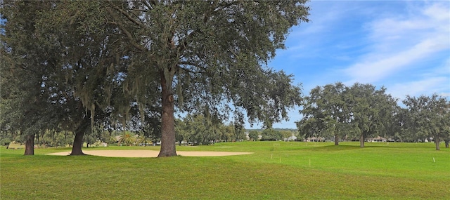 view of community featuring a lawn