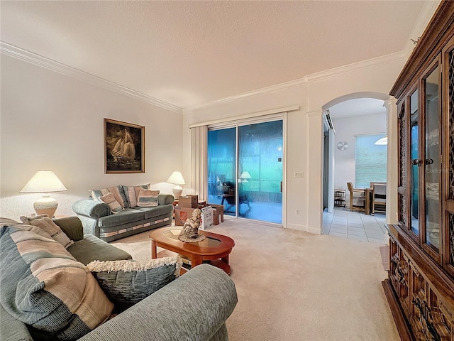 living room with ornamental molding, light colored carpet, and a textured ceiling