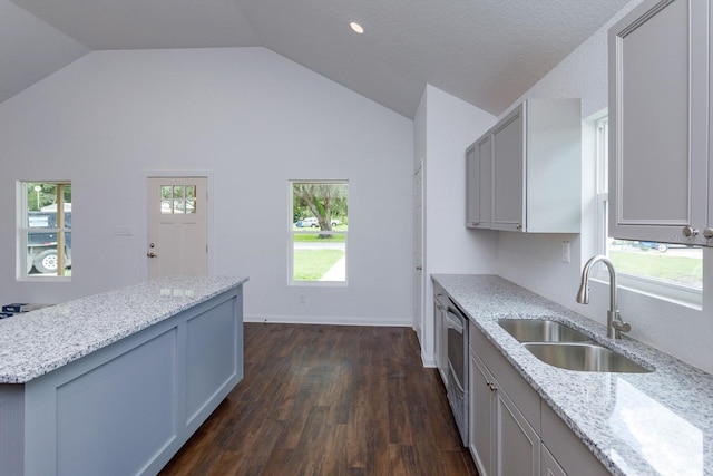 kitchen featuring dark wood-type flooring, vaulted ceiling, plenty of natural light, and sink