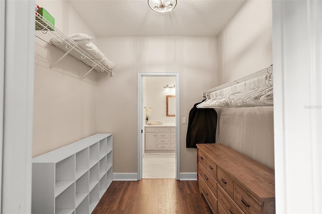 spacious closet featuring dark hardwood / wood-style floors