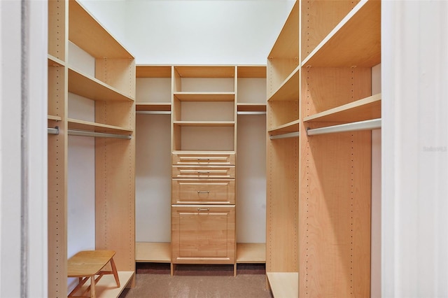 spacious closet featuring dark colored carpet