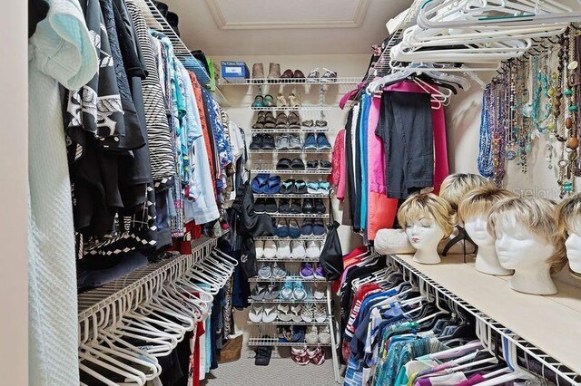 spacious closet featuring carpet floors