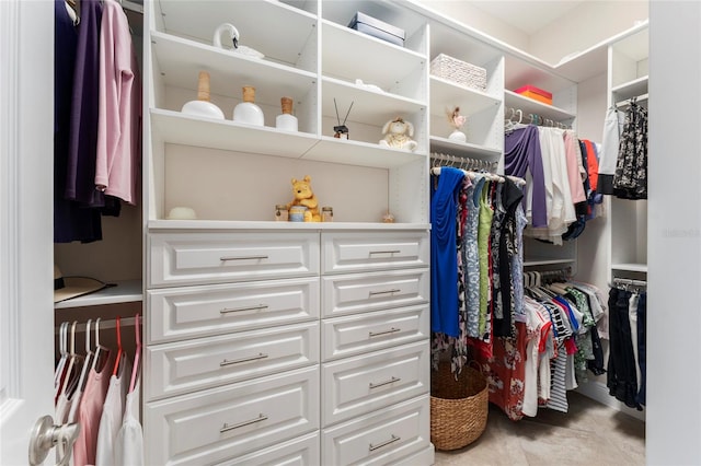 view of spacious closet