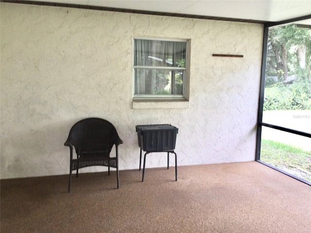 living area with carpet flooring and a wealth of natural light