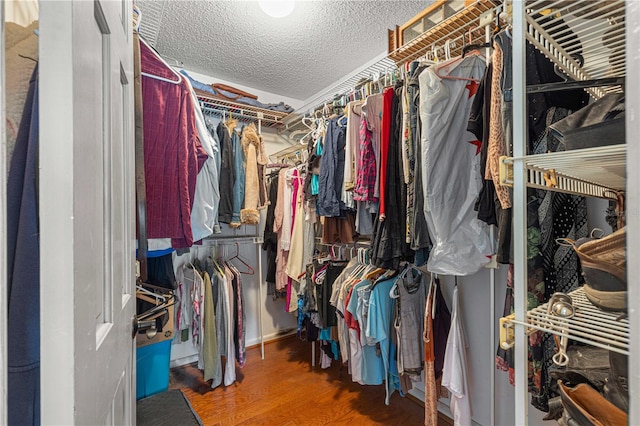 spacious closet featuring hardwood / wood-style flooring