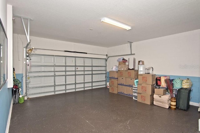436 Orange Cosmos Blvd, Davenport, FL 33837 - view of garage