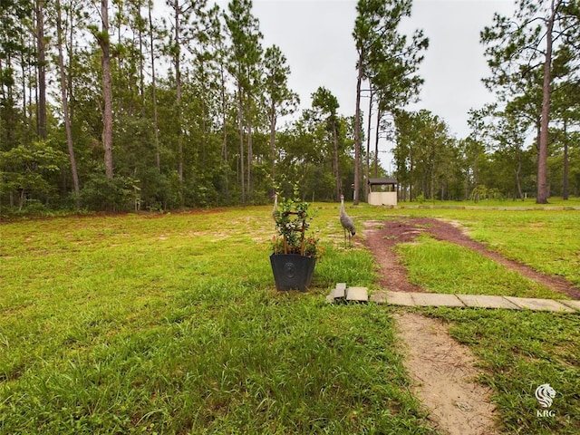 view of yard with a storage shed