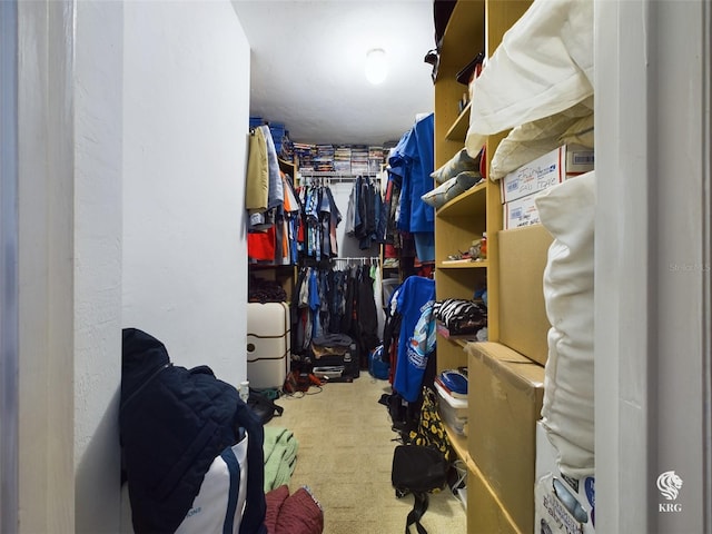 walk in closet with carpet floors