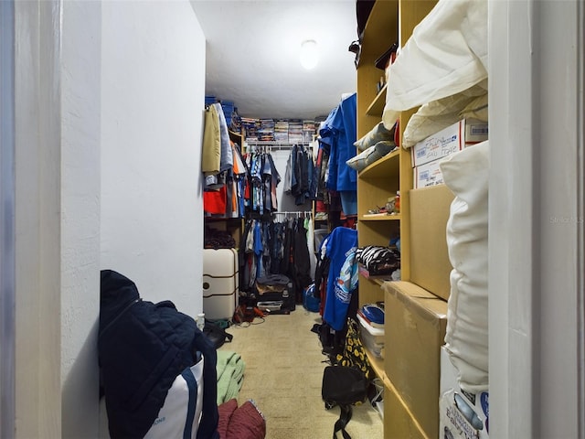 spacious closet featuring carpet flooring