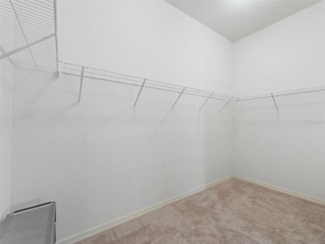 walk in closet with light colored carpet