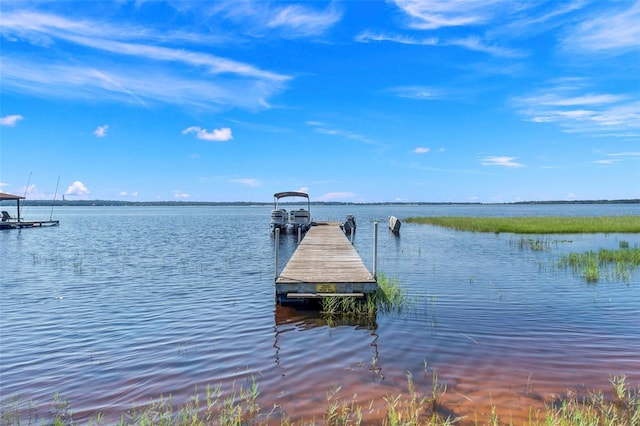 dock area featuring a water view