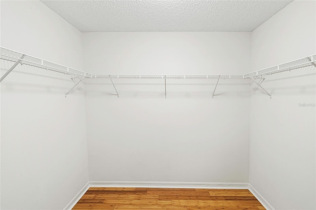 walk in closet with wood-type flooring