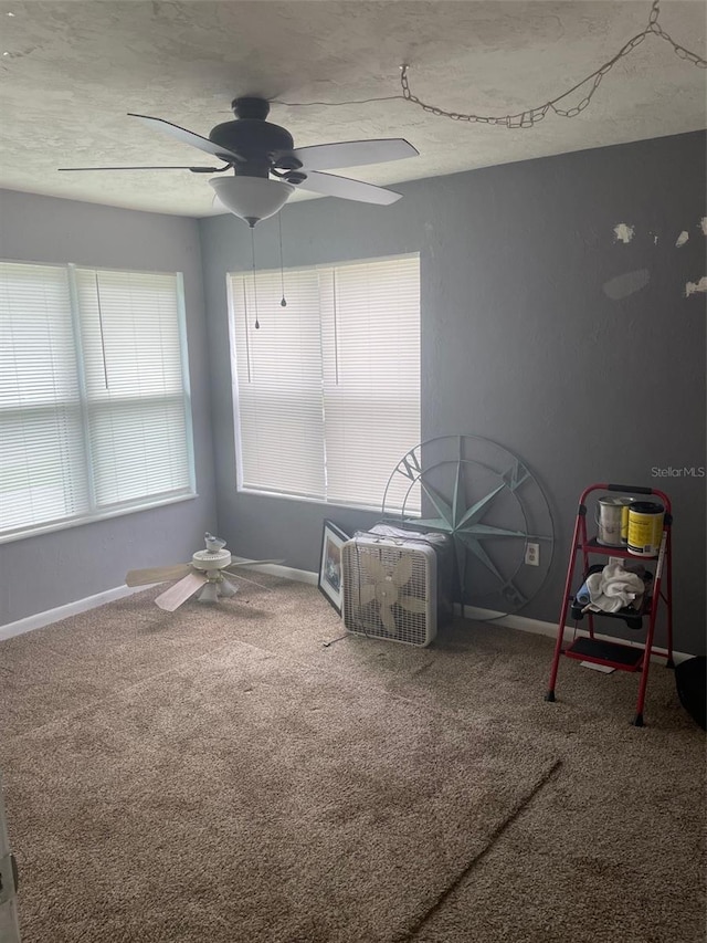 interior space with carpet, ceiling fan, and a textured ceiling