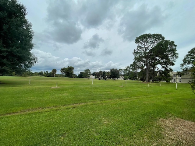 view of community with a lawn