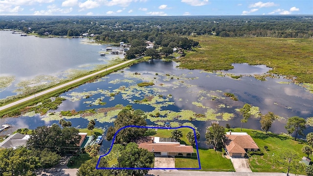 aerial view with a water view