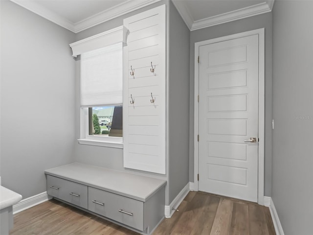 mudroom featuring crown molding and dark hardwood / wood-style floors