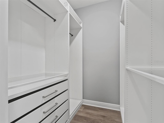 spacious closet featuring hardwood / wood-style floors