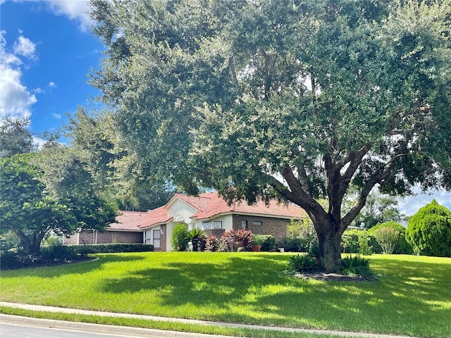 ranch-style house with a front lawn