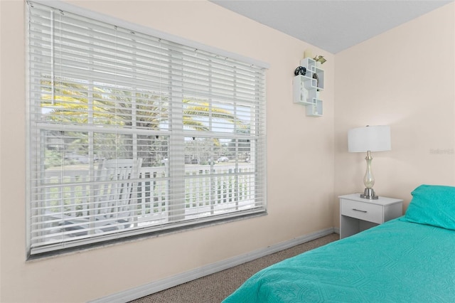 carpeted bedroom with multiple windows