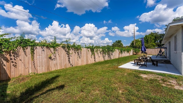 view of yard featuring a patio