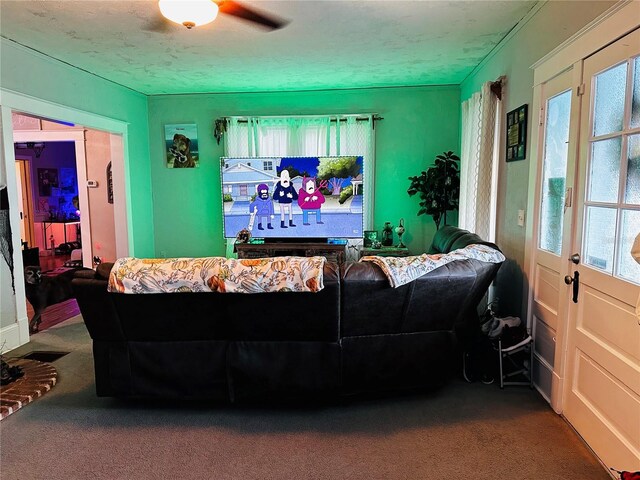 101 S Dixie Ave, Fruitland Park, FL 34731 - photo 33