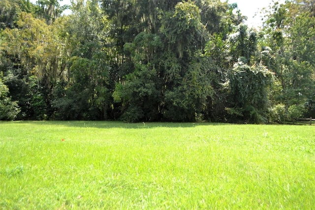 Listing photo 2 for Redtree Dr, Leesburg FL 34748