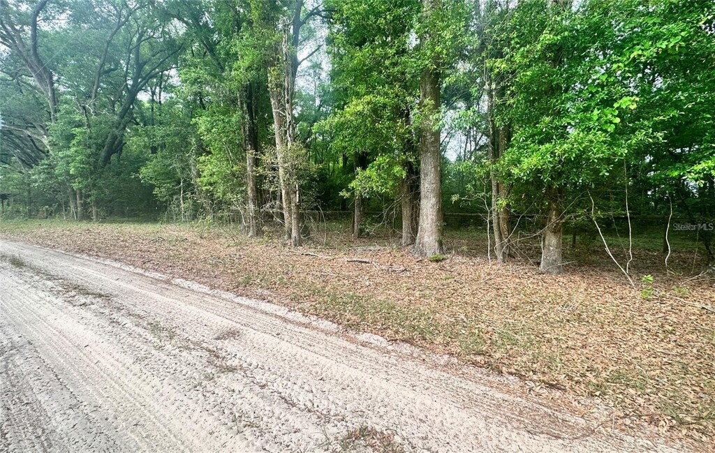 29th Place Rd, Silver Springs, FL 34488