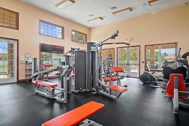 exercise room featuring plenty of natural light