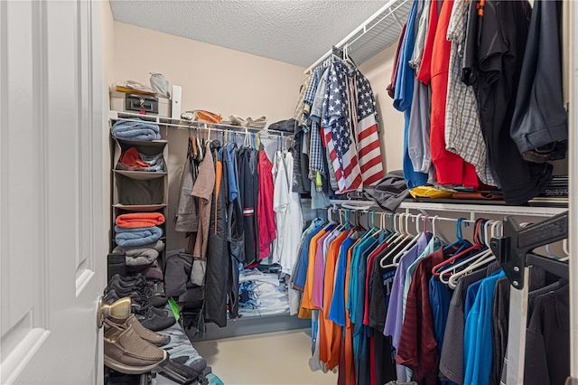 view of spacious closet