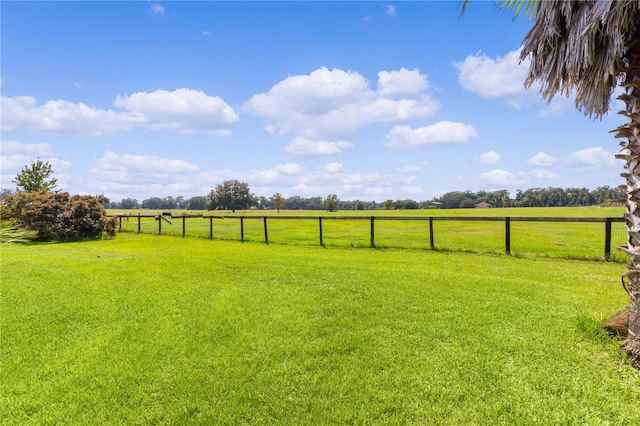 view of yard with a rural view