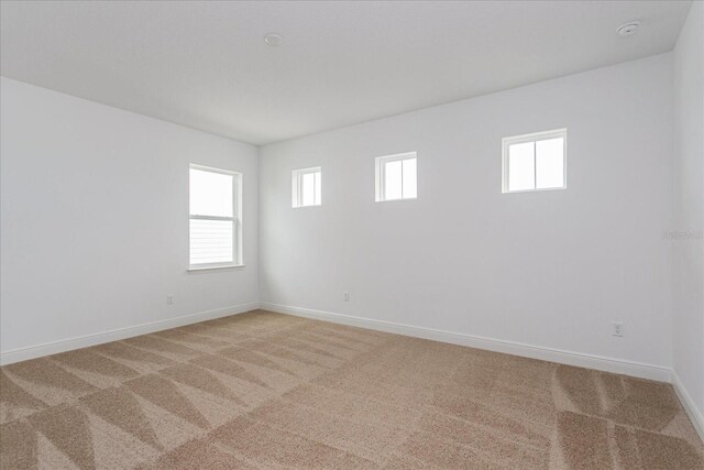 spare room with a wealth of natural light and carpet floors