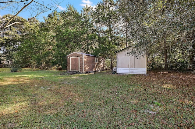 view of yard with a storage unit