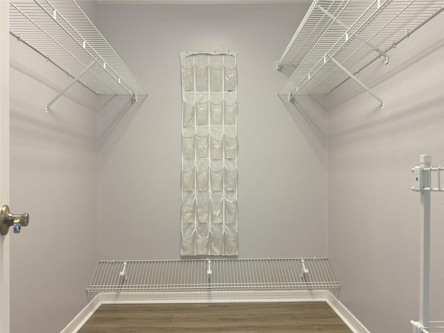 spacious closet featuring hardwood / wood-style floors