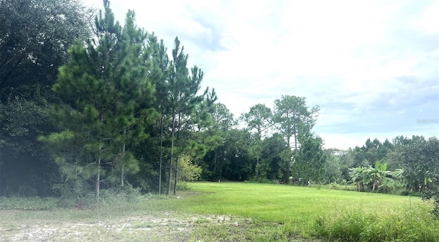 Address Not Disclosed, Groveland FL, 34736 land for sale