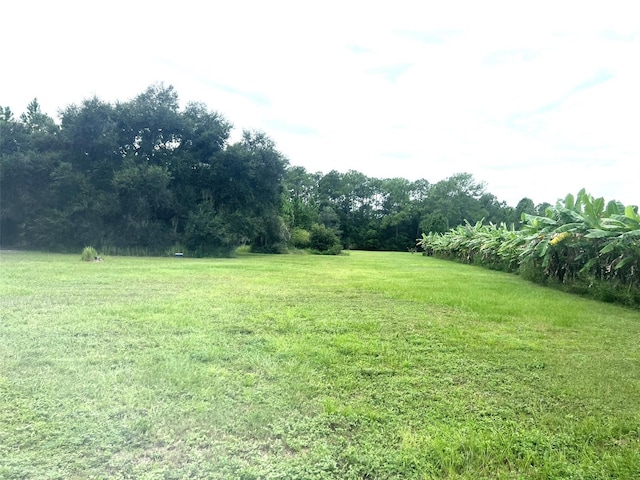 Listing photo 2 for Address Not Disclosed, Groveland FL 34736