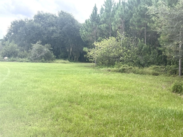 Listing photo 3 for Address Not Disclosed, Groveland FL 34736