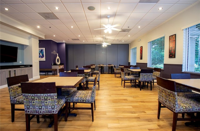 dining space with ornamental molding, ceiling fan, and light hardwood / wood-style flooring