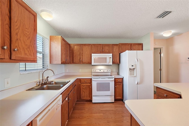 kitchen with light wood-type flooring, white appliances, a textured ceiling, and sink